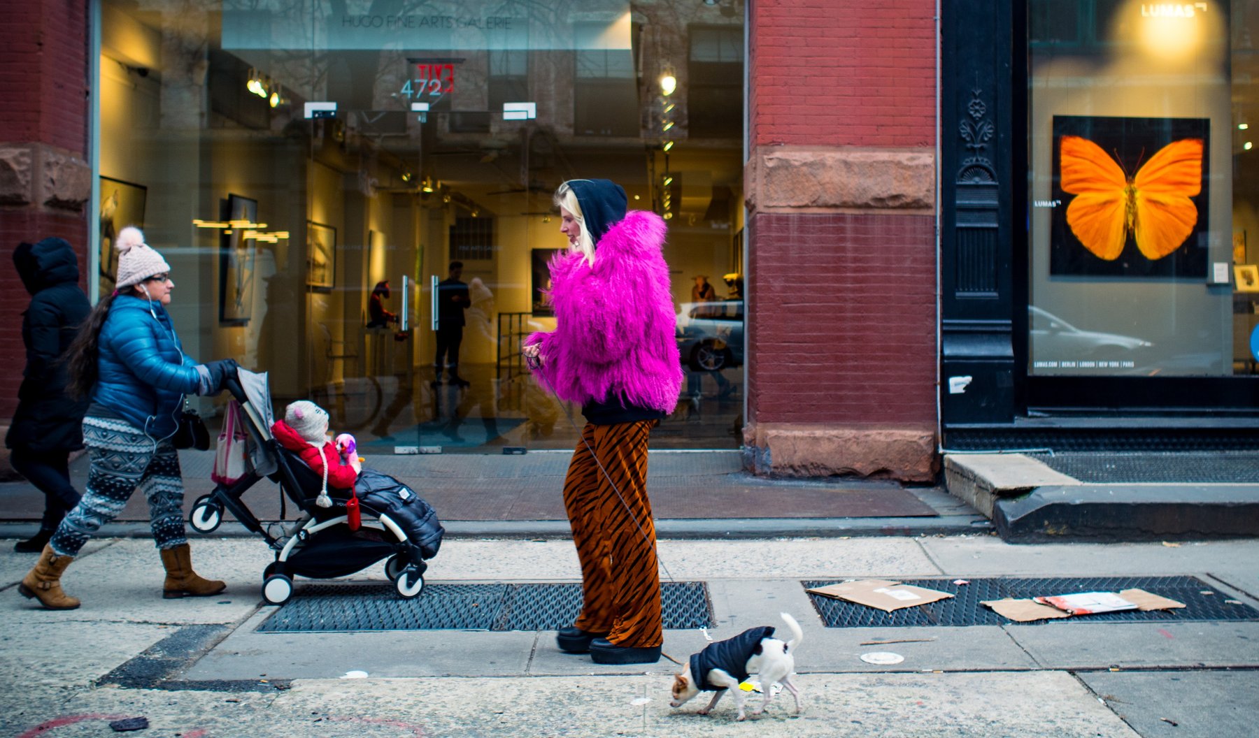 Pedestrians in bright clothing and a small white dog crossing a city street.